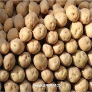Potato